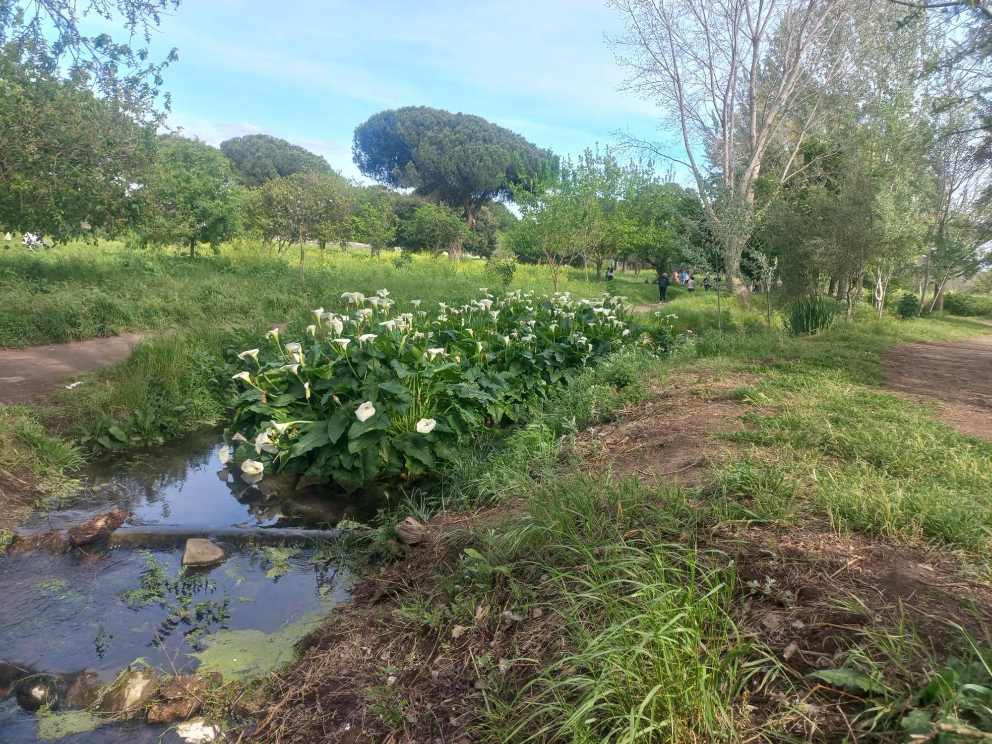 A Casa Di Mori Daire Roma Dış mekan fotoğraf